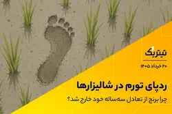 پادکست تیتر یک | ردپای تورم در شالیزارها / چرا برنج از تعادل سه‌ساله خود خارج شد؟