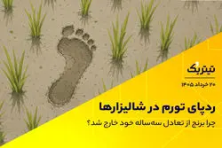 پادکست تیتر یک | ردپای تورم در شالیزارها / چرا برنج از تعادل سه‌ساله خود خارج شد؟