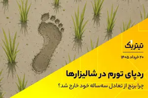 پادکست تیتر یک | ردپای تورم در شالیزارها / چرا برنج از تعادل سه‌ساله خود خارج شد؟