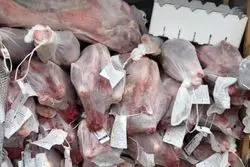 گوشت‌های آفریقایی رسیدند