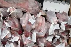 گوشت‌های آفریقایی رسیدند