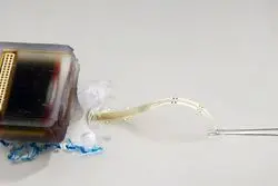 شکستن مرزهای ناتوانی: فلج با فناوری درمان می‌شود