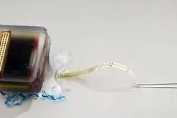 شکستن مرزهای ناتوانی: فلج با فناوری درمان می‌شود