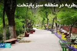 سبزترین مناطق پایتخت/ قیطریه در محدوده صدر