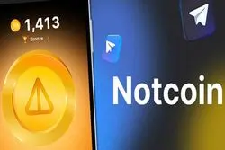 آسیب‌شناسی حرکت توده‌ای در بازار رمزارز با بررسی نات کوین