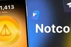 آسیب‌شناسی حرکت توده‌ای در بازار رمزارز با بررسی نات کوین