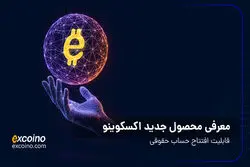 معرفی محصول جدید اکسکوینو؛ حساب حقوقی برای مدیریت حرفه‌ای دارایی‌های کسب‌وکارها