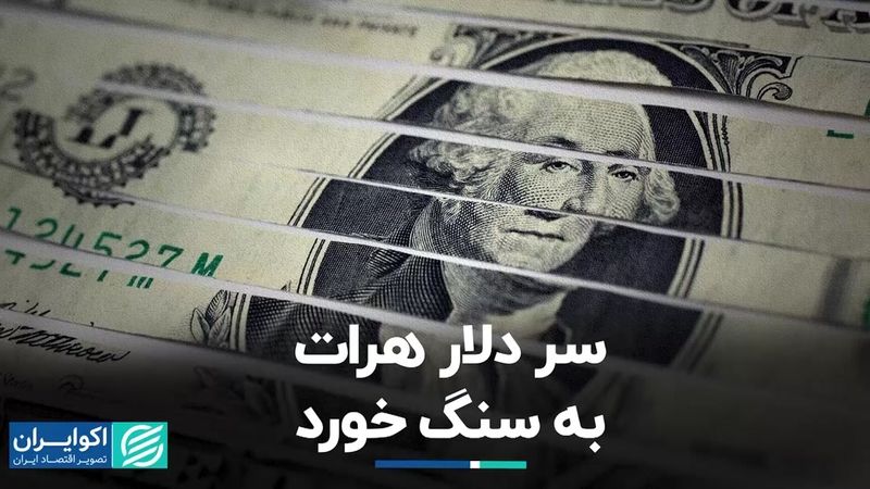 سر دلار هرات به سنگ خورد