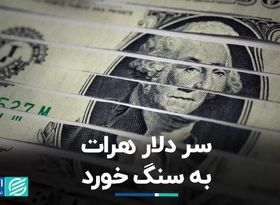 سر دلار هرات به سنگ خورد