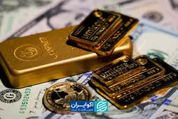کدام بازار هوشمند است؛ طلا یا دلار؟