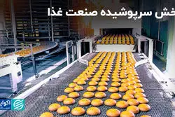 آمار صادرات صنعت غذا واقعی نیست؟