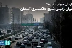 حامیان زمینی شبح خاکستری آسمان/ با آلودگی هوا چه کنیم؟