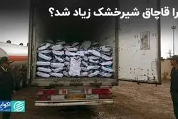 چرا قاچاق شیرخشک زیاد شد؟/ باز هم پای قیمت‌گذاری دستوری در میان است