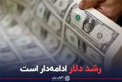 رشد دلار ادامه دار است