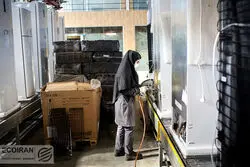 عملکرد ضعیف کرمان در اشتغال زنان 