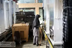 عملکرد ضعیف کرمان در اشتغال زنان 