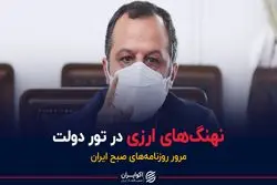 نهنگ‌های ارزی در تور دولت