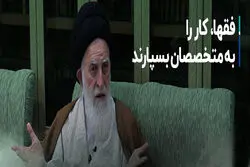 آیت‌الله علوی بروجردی: فقها کار را به متخصصان بسپارند