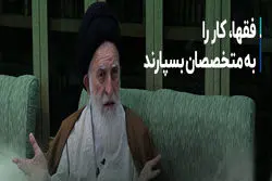 آیت‌الله علوی بروجردی: فقها کار را به متخصصان بسپارند