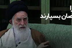 آیت‌الله علوی بروجردی: فقها کار را به متخصصان بسپارند