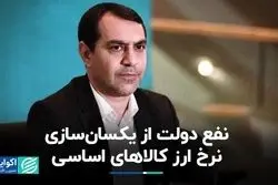 با یکسان شدن نرخ ارز کالاهای اساسی دولت چقدر سود کرد؟