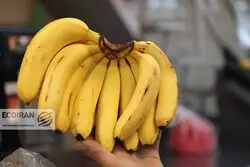 قیمت جدید میوه در بازار؛ گلابی ۳۰۰ هزار تومان شد