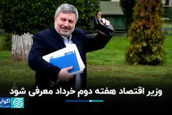 رئیس شورای اطلاع‌رسانی دولت: وزیر اقتصاد 7 خردادماه معرفی می‌شود