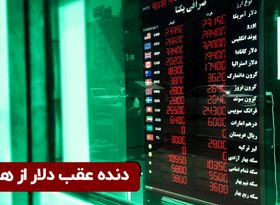 دنده عقب دلار از هرات