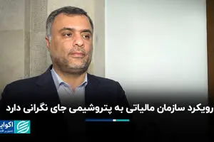 رویکرد سازمان مالیاتی به پتروشیمی جای نگرانی دارد 