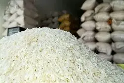 تکلیف دولت به واردکنندگان برنج و روغن چه بود؟