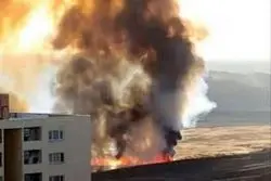 دود سیاه در پرند/ علت چیست؟