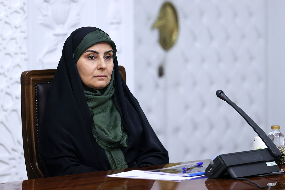 واکنش سخنگوی سازمان هواپیمایی به سفر خانوادگی وزیر راه به کیش 