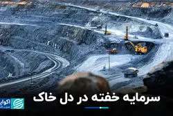 سرمایه‌ خفته در دل خاک