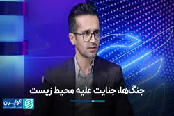 جنگ‌ها، جنایت علیه محیط زیست  