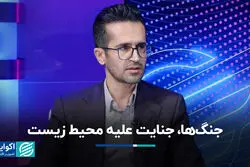 جنگ‌ها، جنایت علیه محیط زیست  