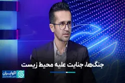 جنگ‌ها، جنایت علیه محیط زیست  