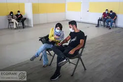 جریان نیروی کار در 1401؛ خانه‌نشینی 14 درصد از شاغلین