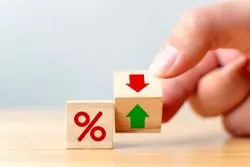 ثبت قله گرانی در یک بازار مهم/ دست دولت در کار است؟