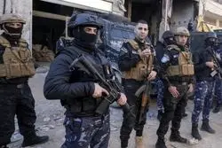 سیگنال ساف به ویتکاف؛ آماده برای نبرد با حماس برای فتح غزه!