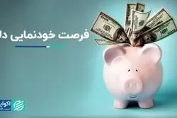 دلار فرصت عرض‌اندام پیدا کرد