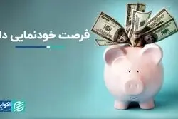 دلار فرصت عرض‌اندام پیدا کرد
