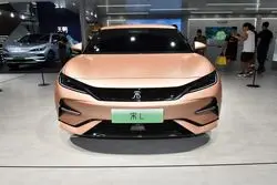 سقوط آزاد بی‌وای‌دی در ژانویه  