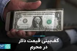کف‌بینی قیمت دلار در محرم