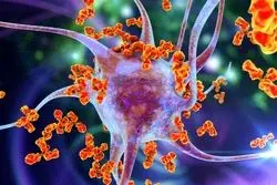 توسعه «واکسن معکوس» برای درمان بیماری‌های خودایمنی