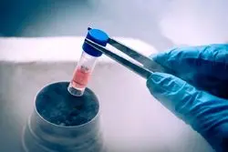 دانشگاه ایران گم شدن جنین‌های فریز شده را تکذیب کرد