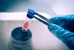 دانشگاه ایران گم شدن جنین‌های فریز شده را تکذیب کرد