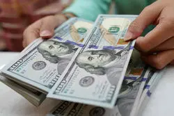 سهم بالای صنایع از ارز واردات؛ خودرو صدرنشین شد