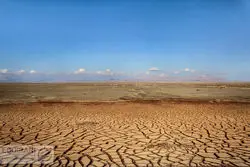 سقوط آزاد تولیدات کشاورزی ایران