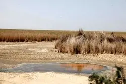 هشدار! وضعیت تالاب هورالعظیم بحرانی است