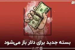 بسته جدید برای دلار باز می‌شود